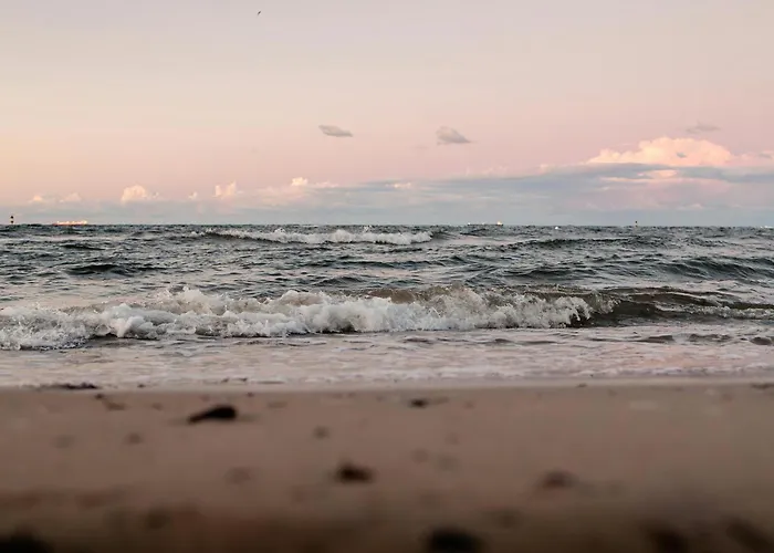 Baltic - Visitopl * Свиноуйсьце